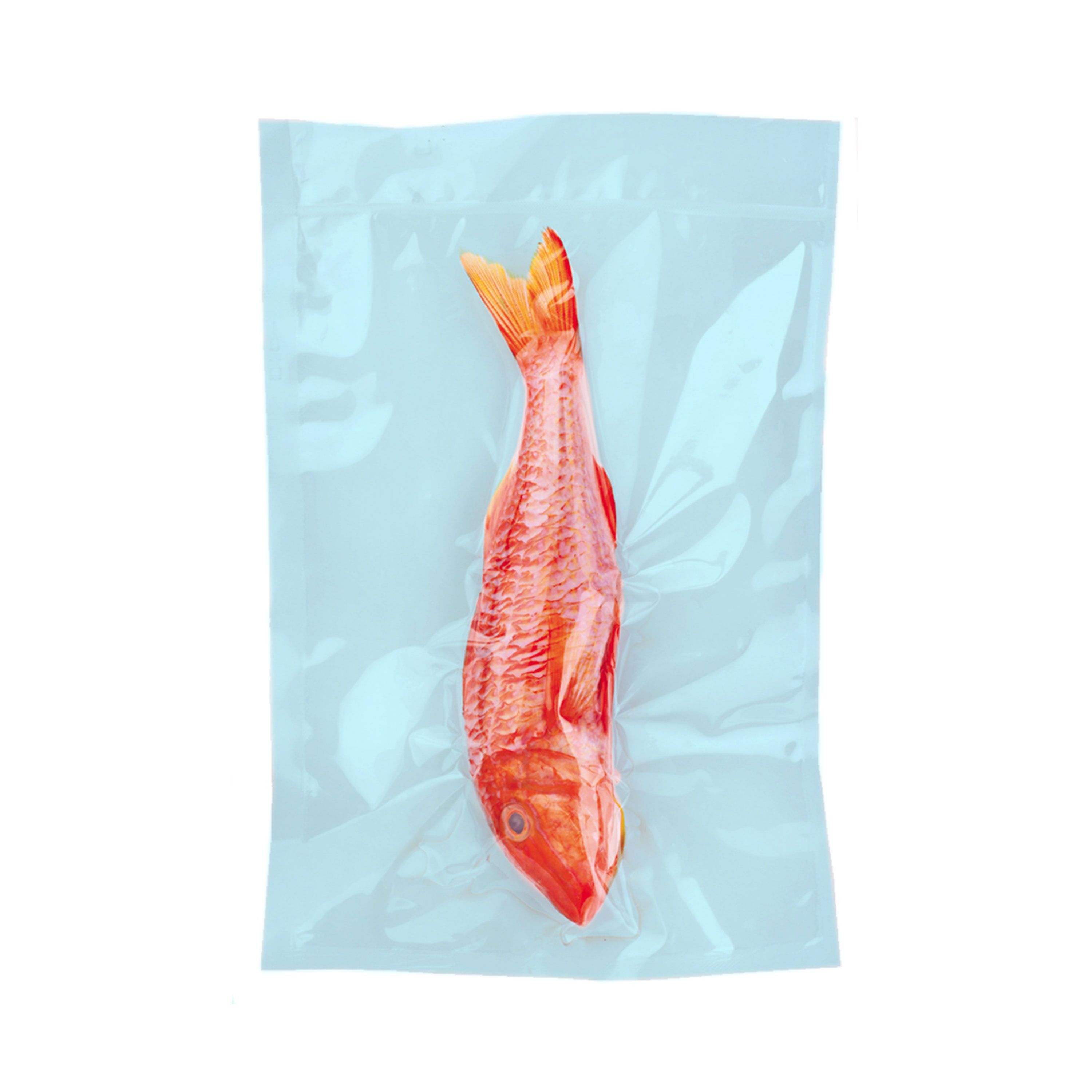 (1000 pcs) Sacs sous vide Cook & Chill - lisses - Bleu - 200x300mm