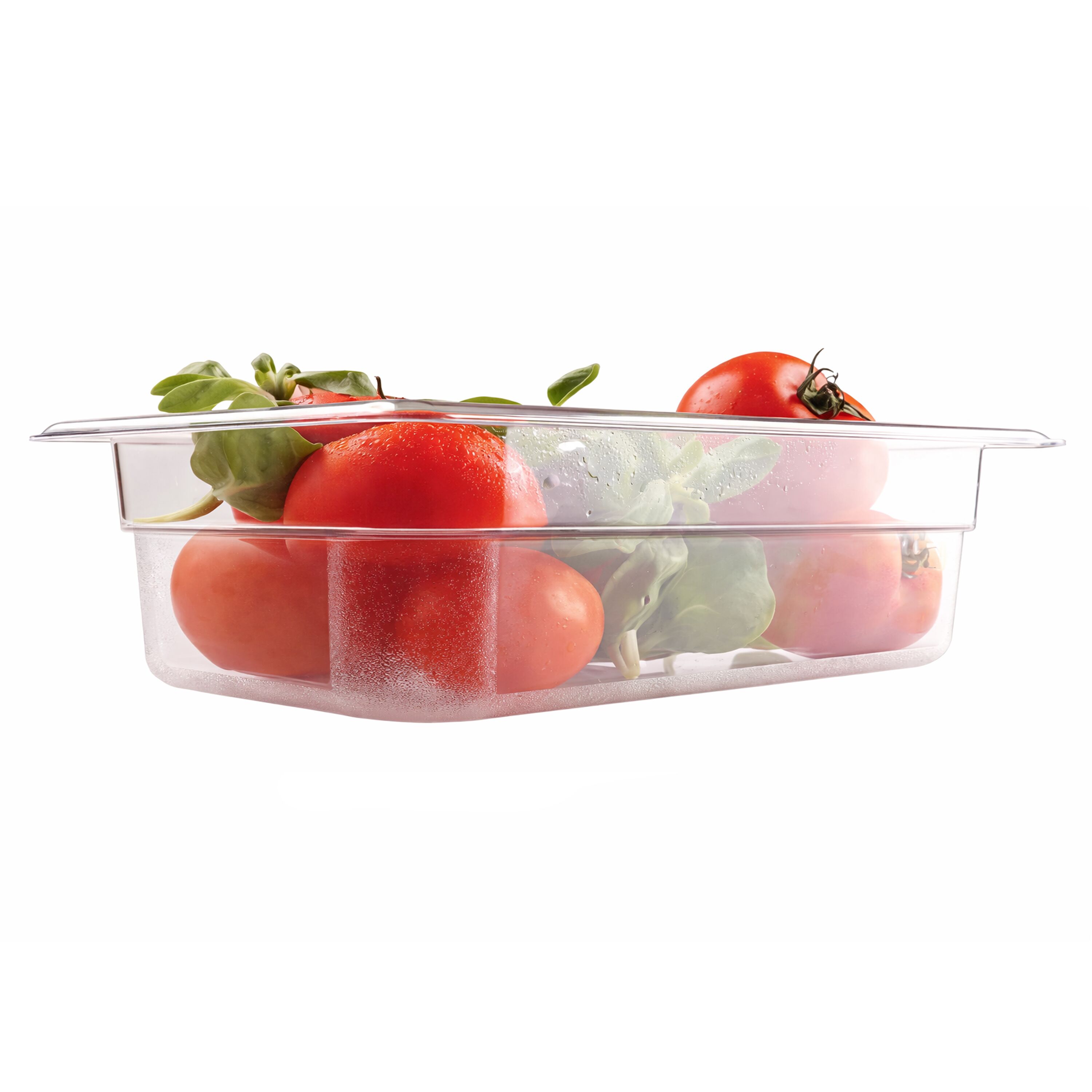 (6 pièces) Bac en Polycarbonate GN 1/4 - Transparent - Hauteur : 65 mm