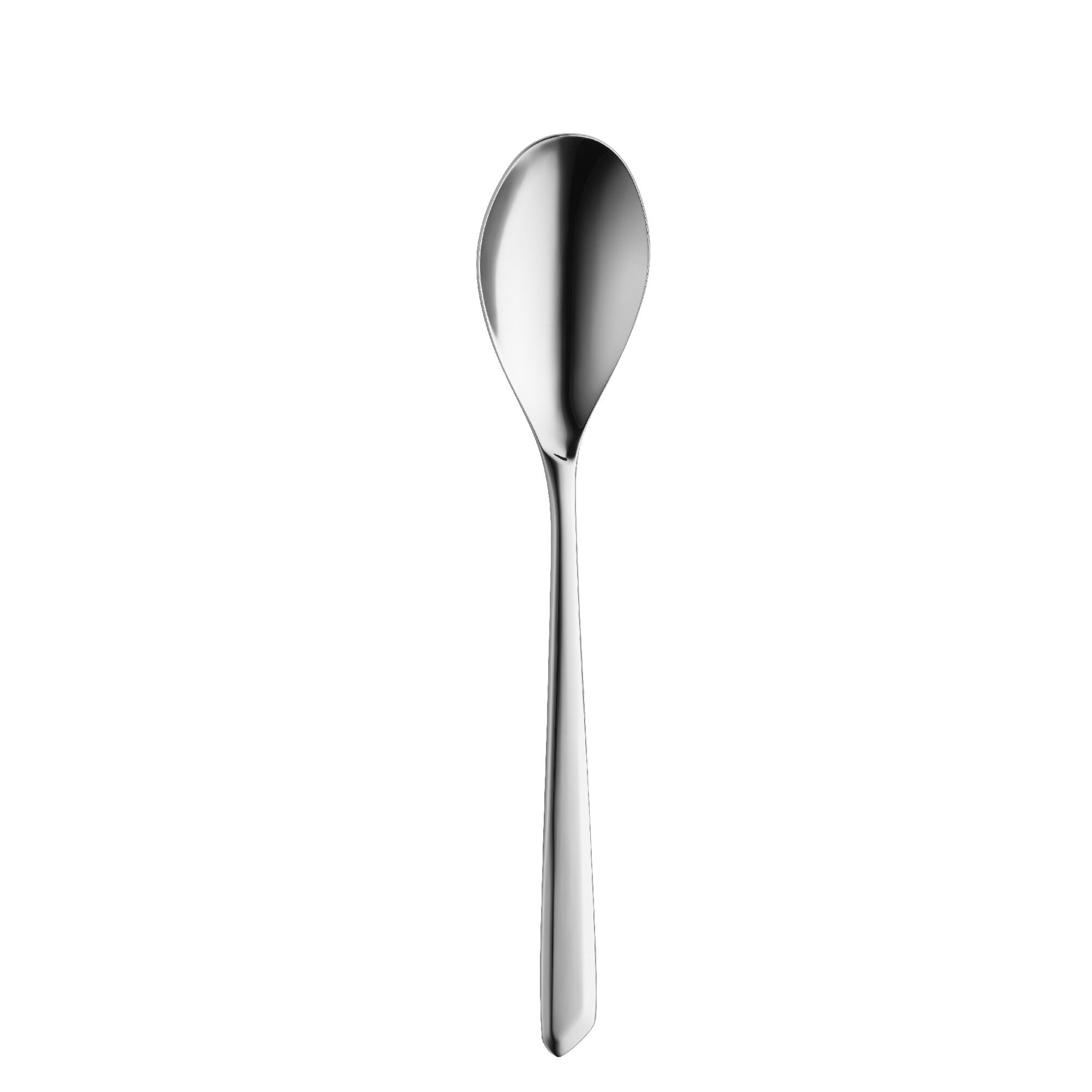 (12 pièces) WMF | SHADES - Cuillère de table - 222 mm - polie 