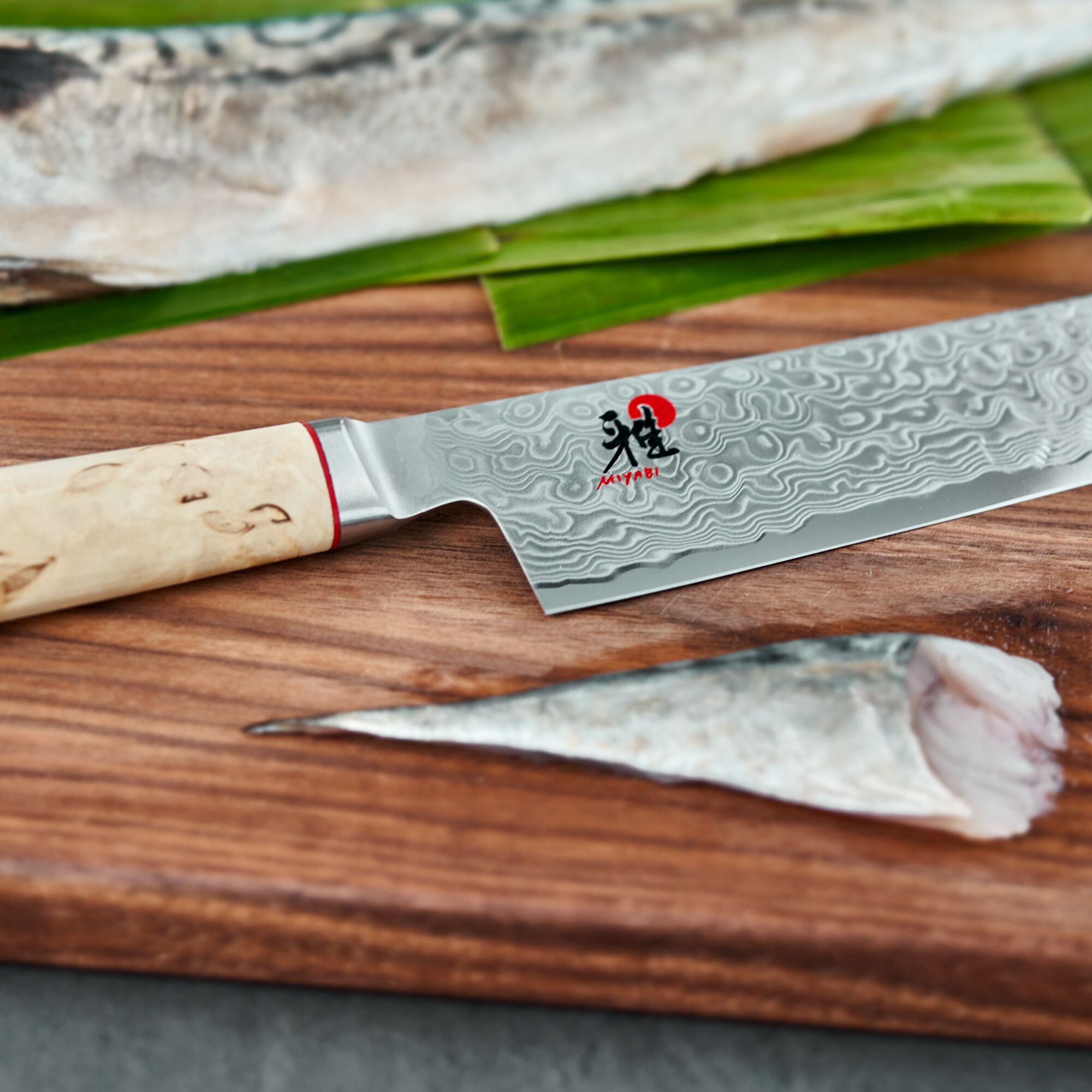 MIYABI | 5000 MCD - Gyutoh - Klinge: 240mm