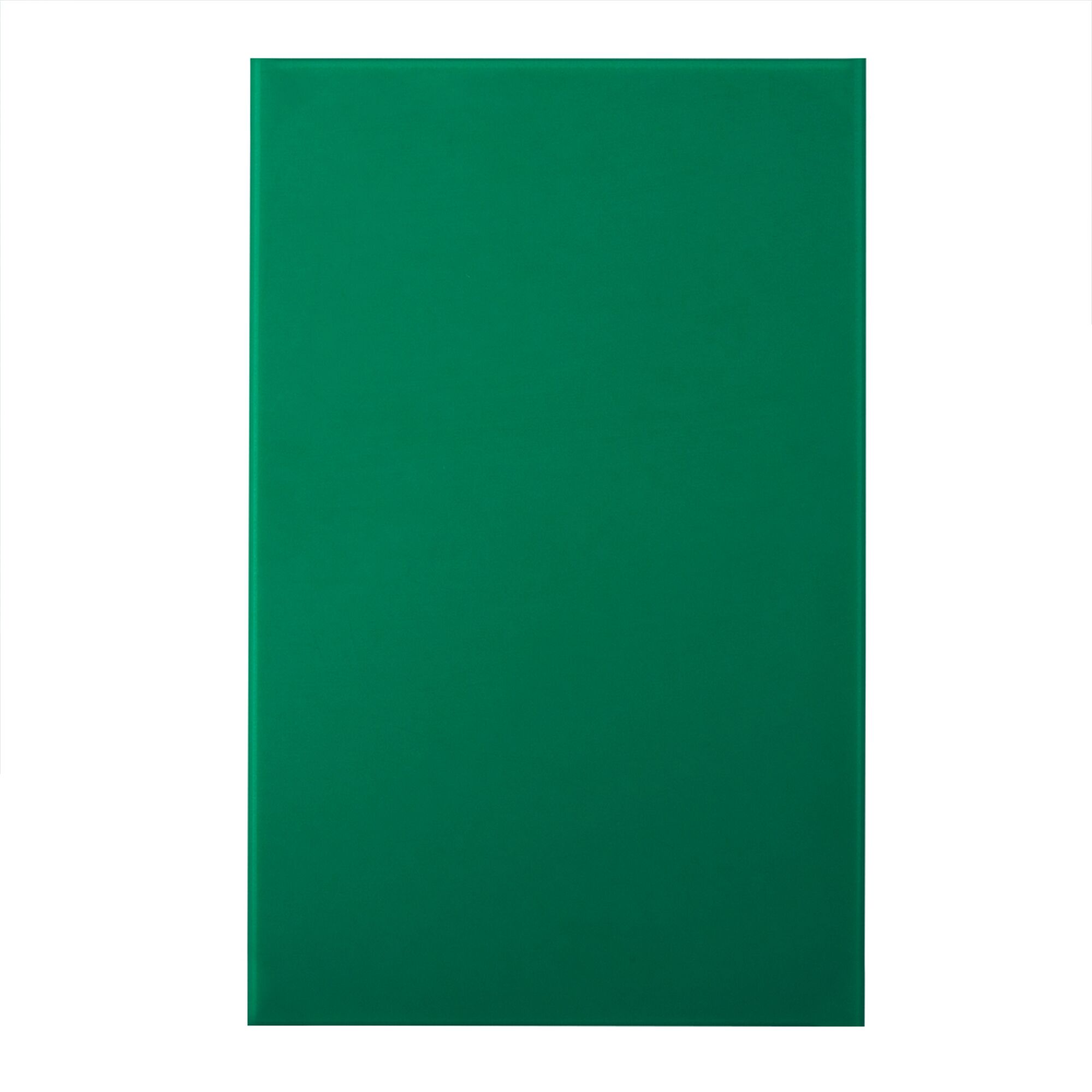 Planche à découper - 250x400mm - Épaisseur: 20mm - Conforme HACCP - Polyéthylène - Vert