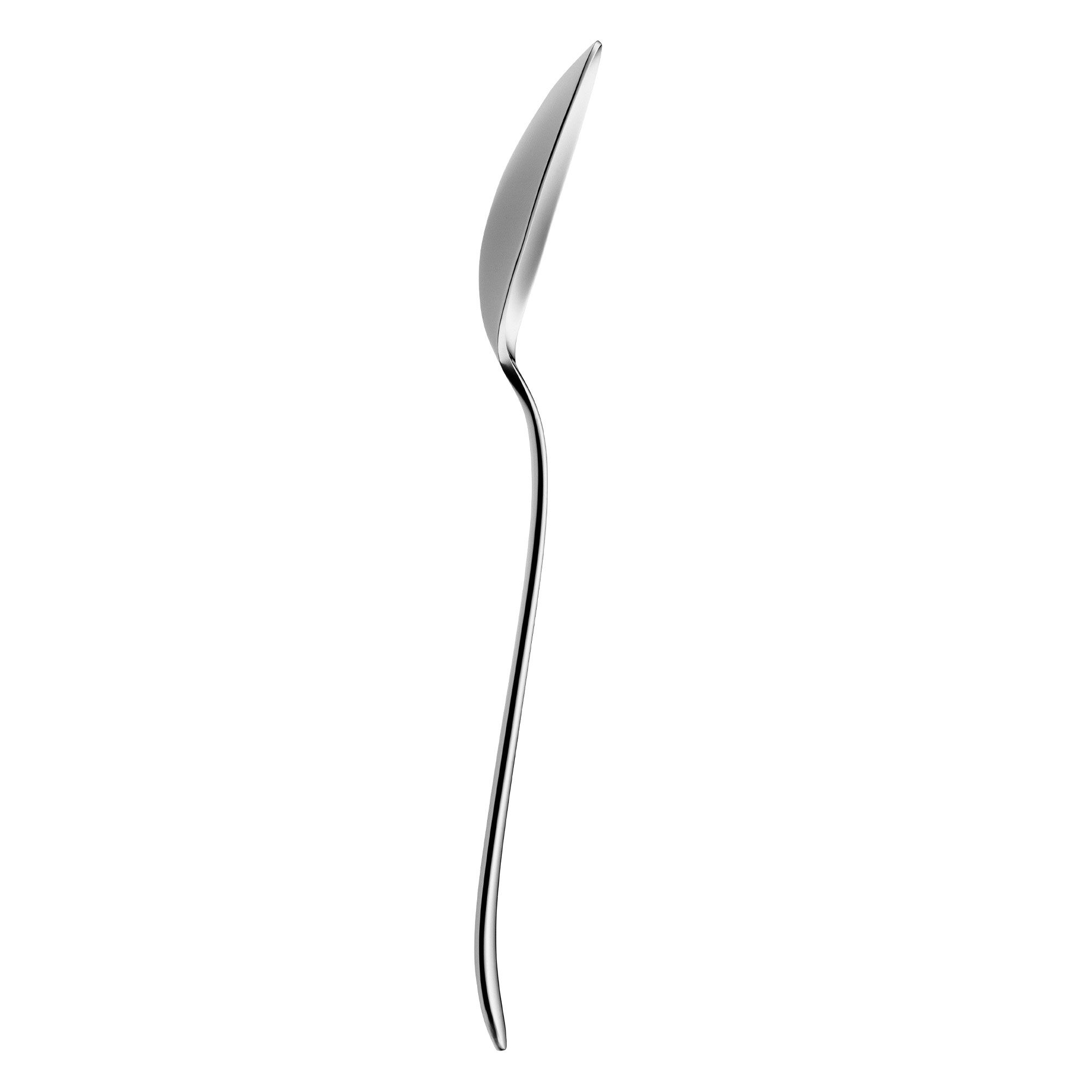 (12 pièces) WMF | SIGNUM - Cuillère de table - 212 mm - polie 