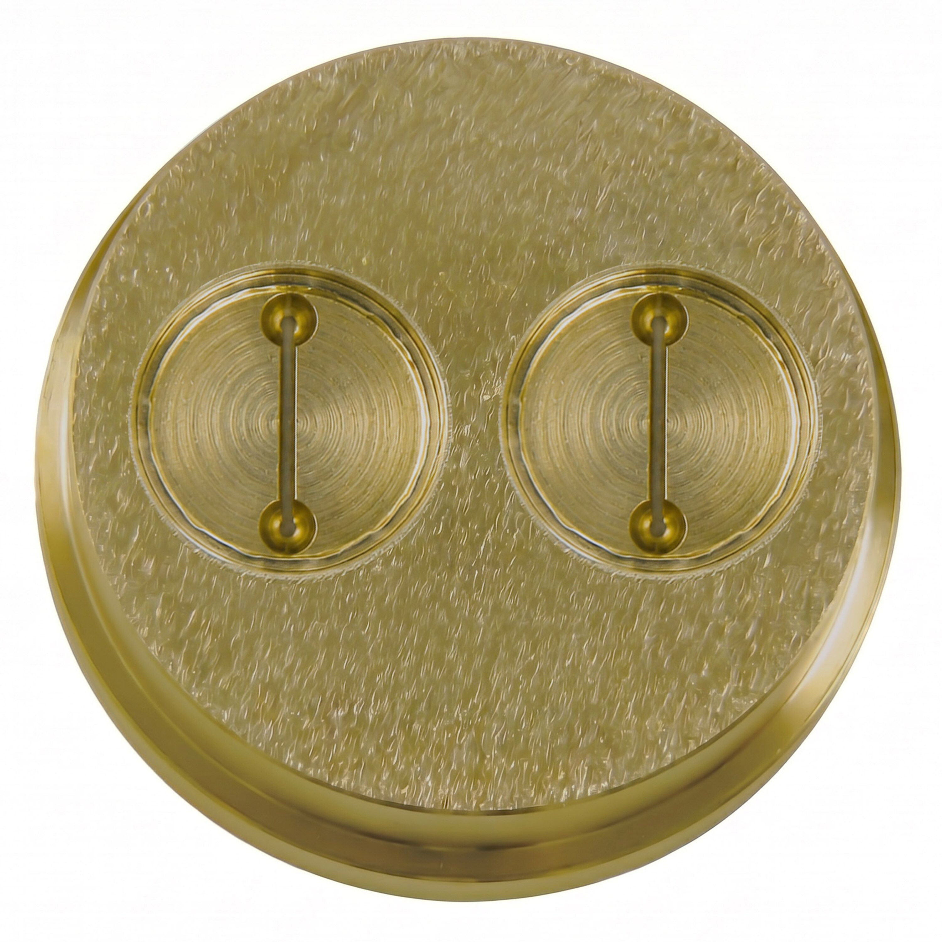 Pasta Die - Pappardelle Rice - 16mm - Ø 50mm - compatible with NMF5N