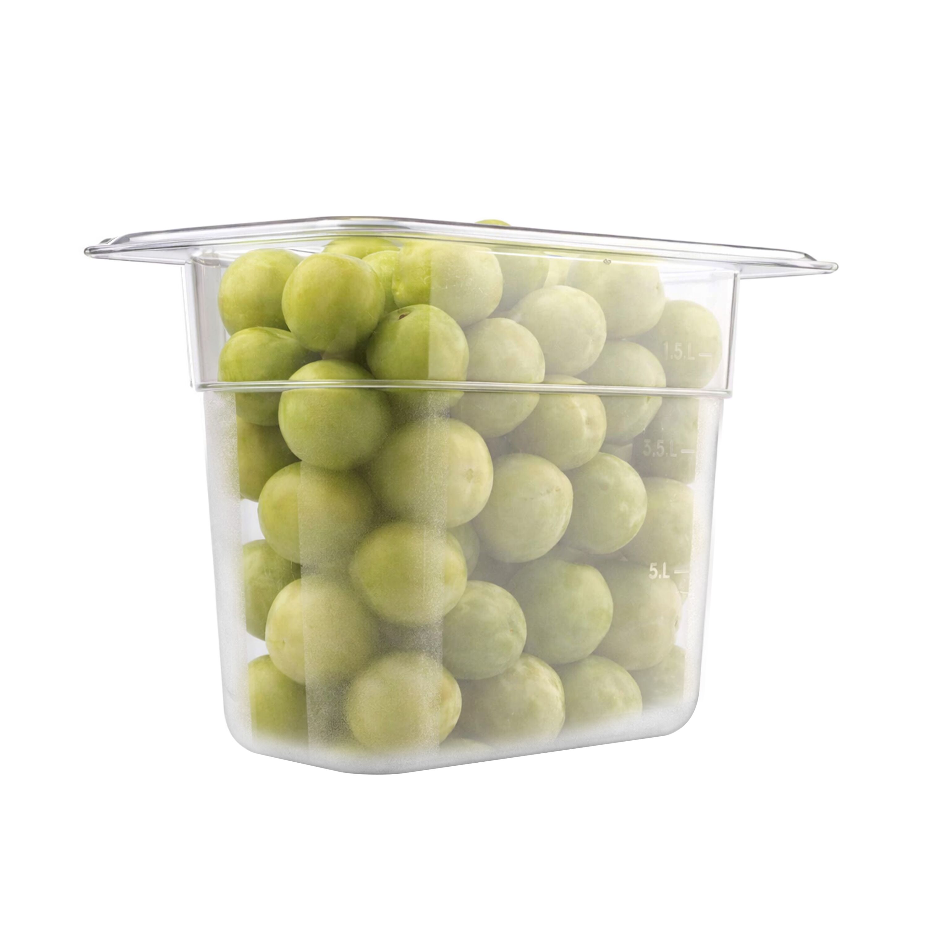(6 pièces) Bac en Polycarbonate GN 1/9 - Transparent - Hauteur : 100 mm