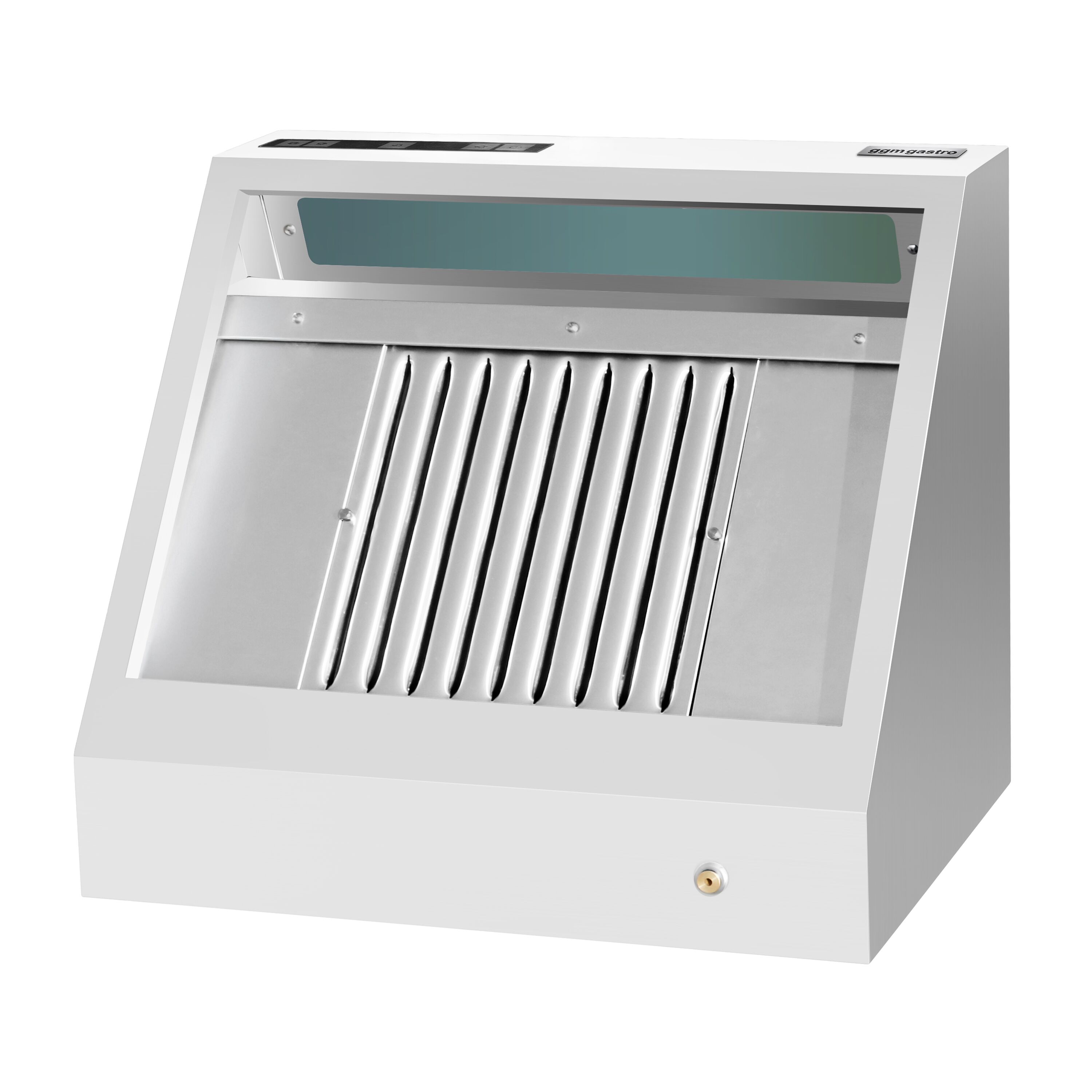 Hotte murale avec moteur – 800 mm – régulateur, filtre et lampe