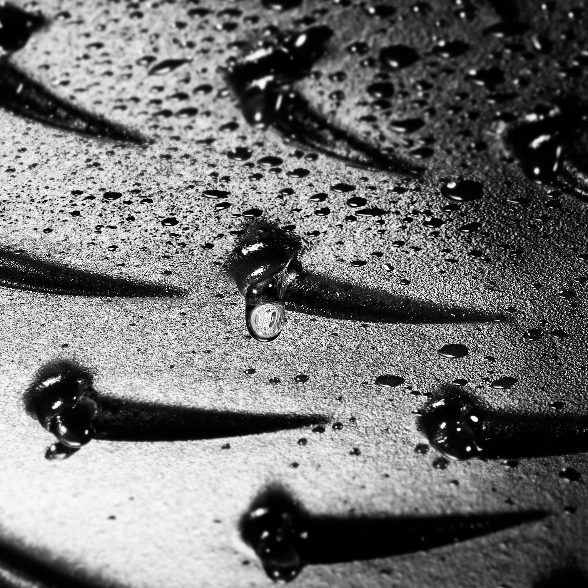 STAUB | BRAISERS - Bräter mit Chistera Drop-Structure - Ø 280mm - Gusseisen - Weisser Trüffel