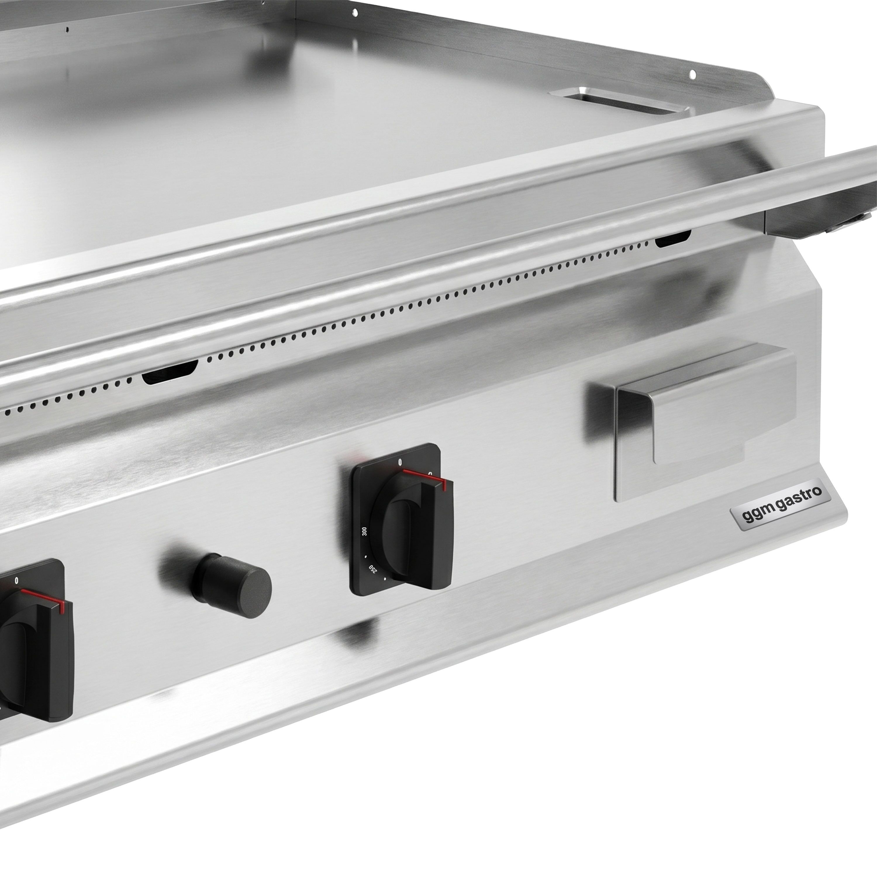Plaque de cuisson Teppanyaki à gaz - 24 kW - support inclus