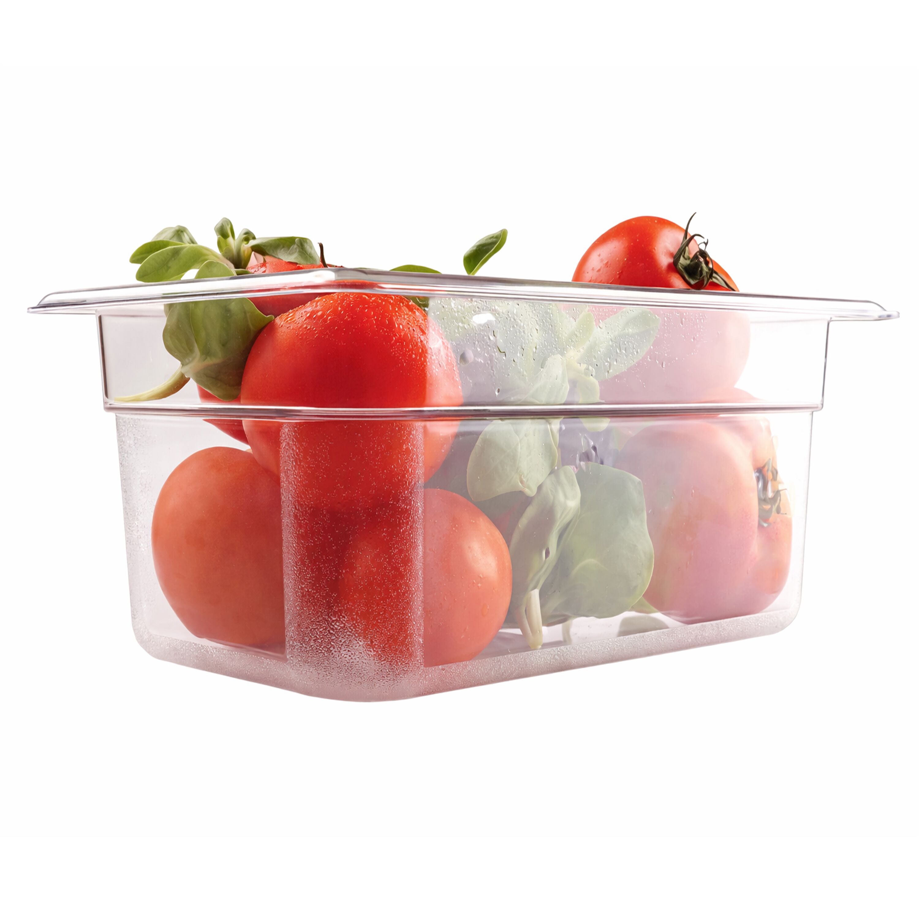 (6 pièces) Bac en Polycarbonate GN 1/4 - Transparent - Hauteur : 150 mm