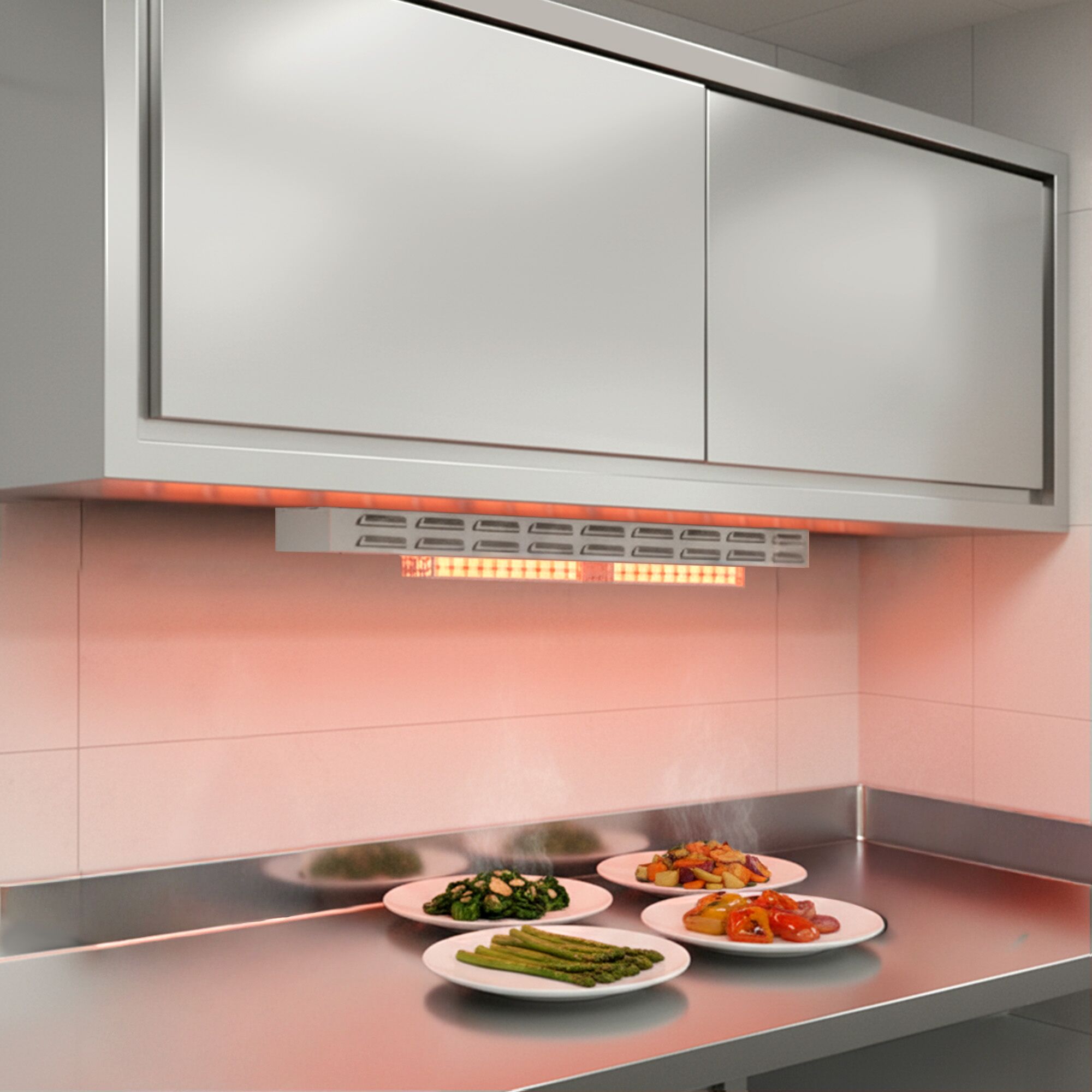Rampe chauffante infrarouge à 2 éléments/résistances céramiques - 900x120mm - 700W