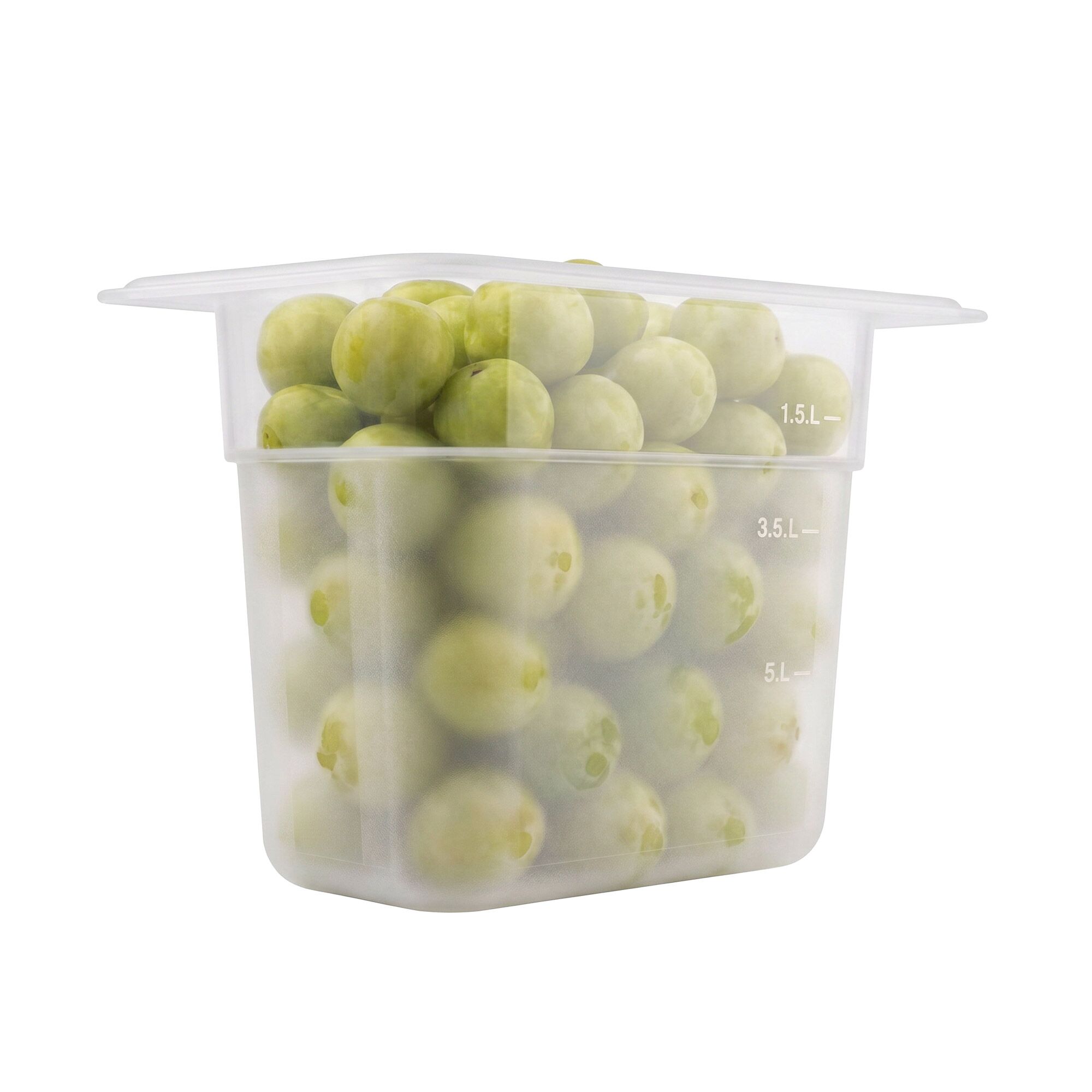 (12 pièces) Bac en Polycarbonate GN 1/9 - Transparent - Hauteur : 100 mm