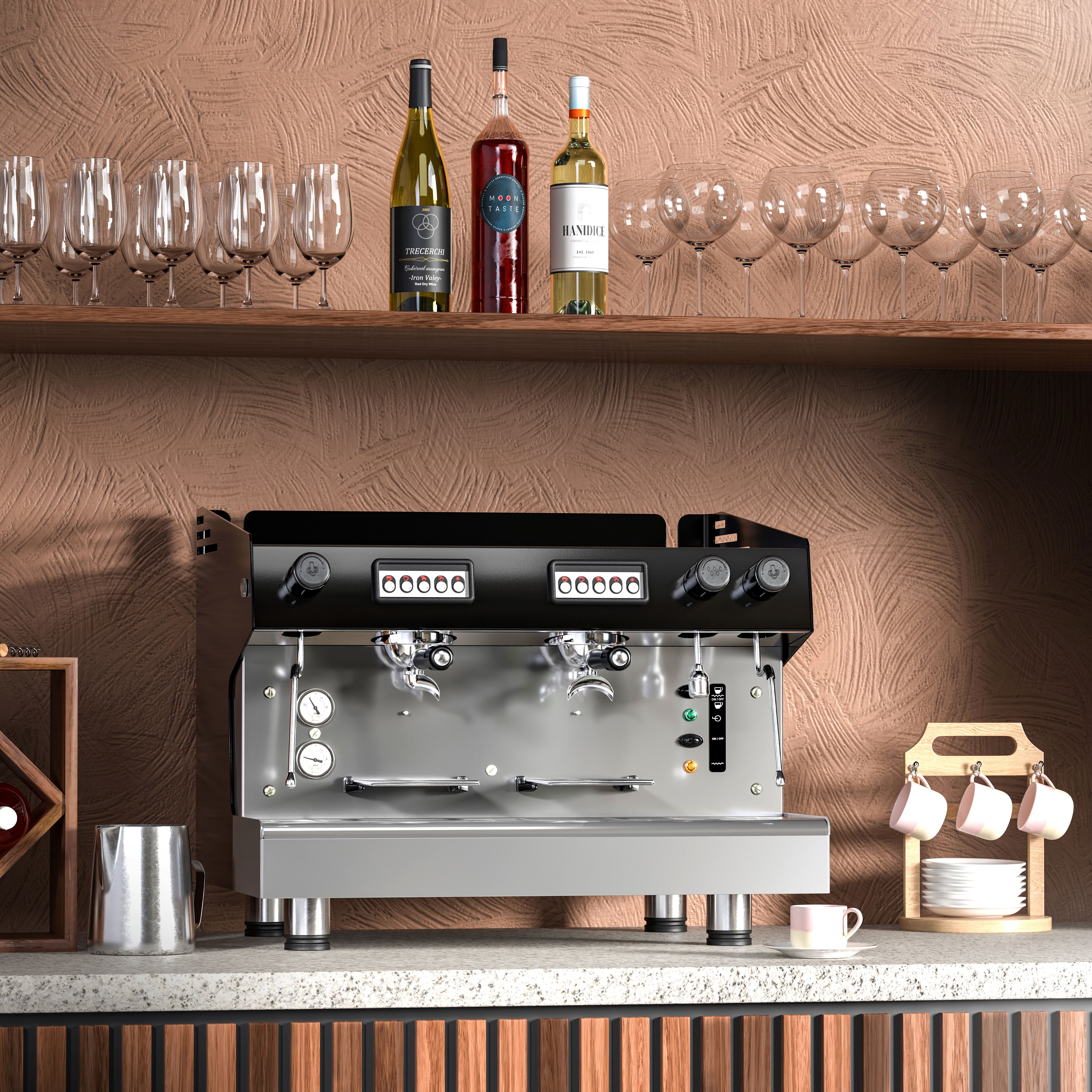 Machine à café porte-filtre – 2 groupes – avec système de préinfusion & 2 lances vapeur incluses