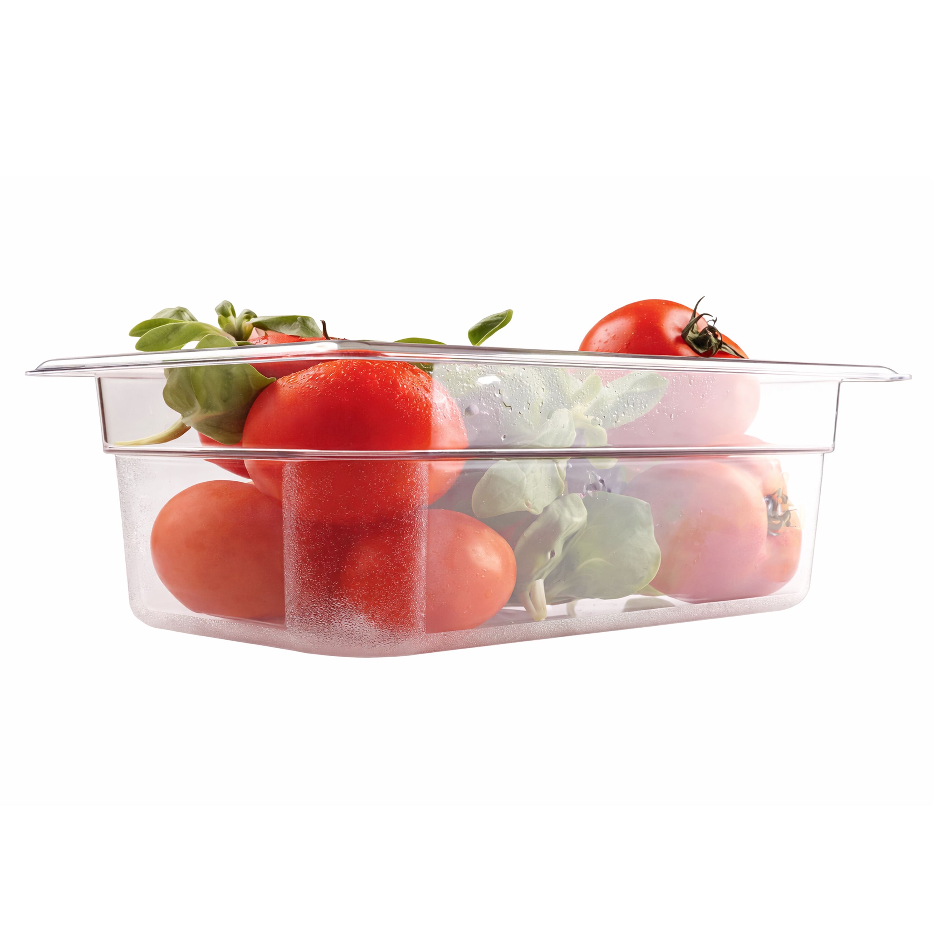 (6 pièces) Bac en Polycarbonate GN 1/4 - Transparent - Hauteur : 100 mm