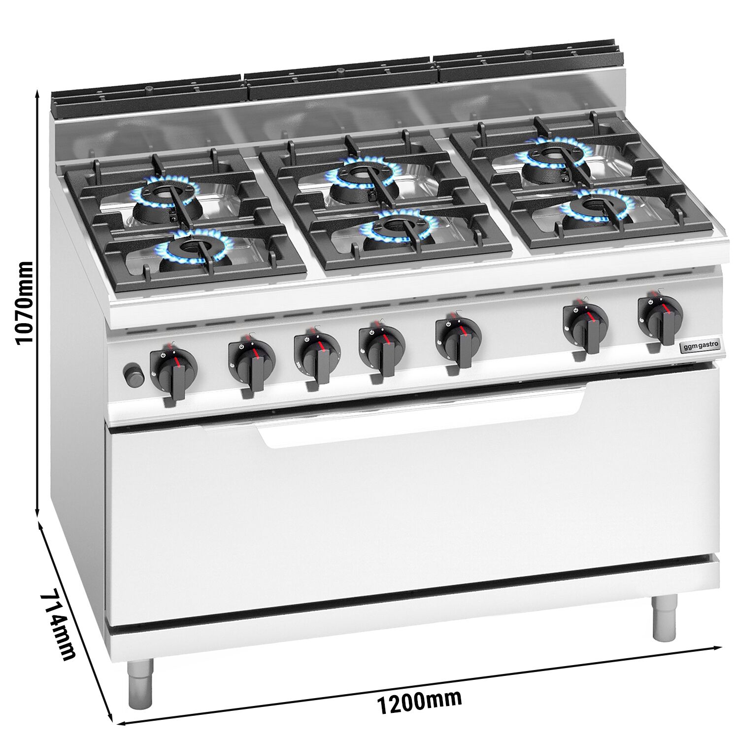 Fourneau à gaz – 42 kW – 6 brûleurs – avec four à gaz statique – 12 kW – modèle haute performance