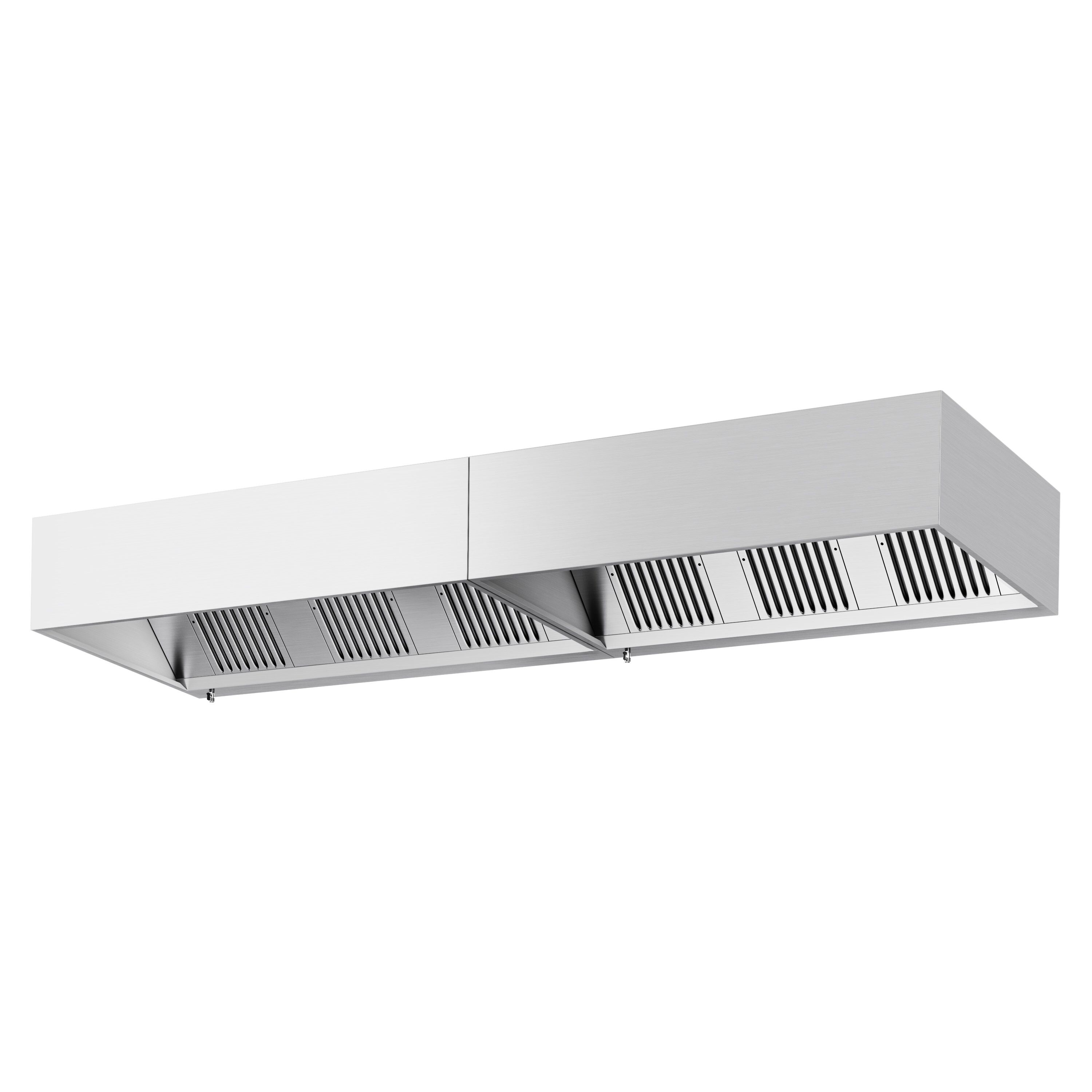 Hotte à adosser professionnelle - Profondeur 1100 - 3800mm - sans moteur - avec filtres et éclairage