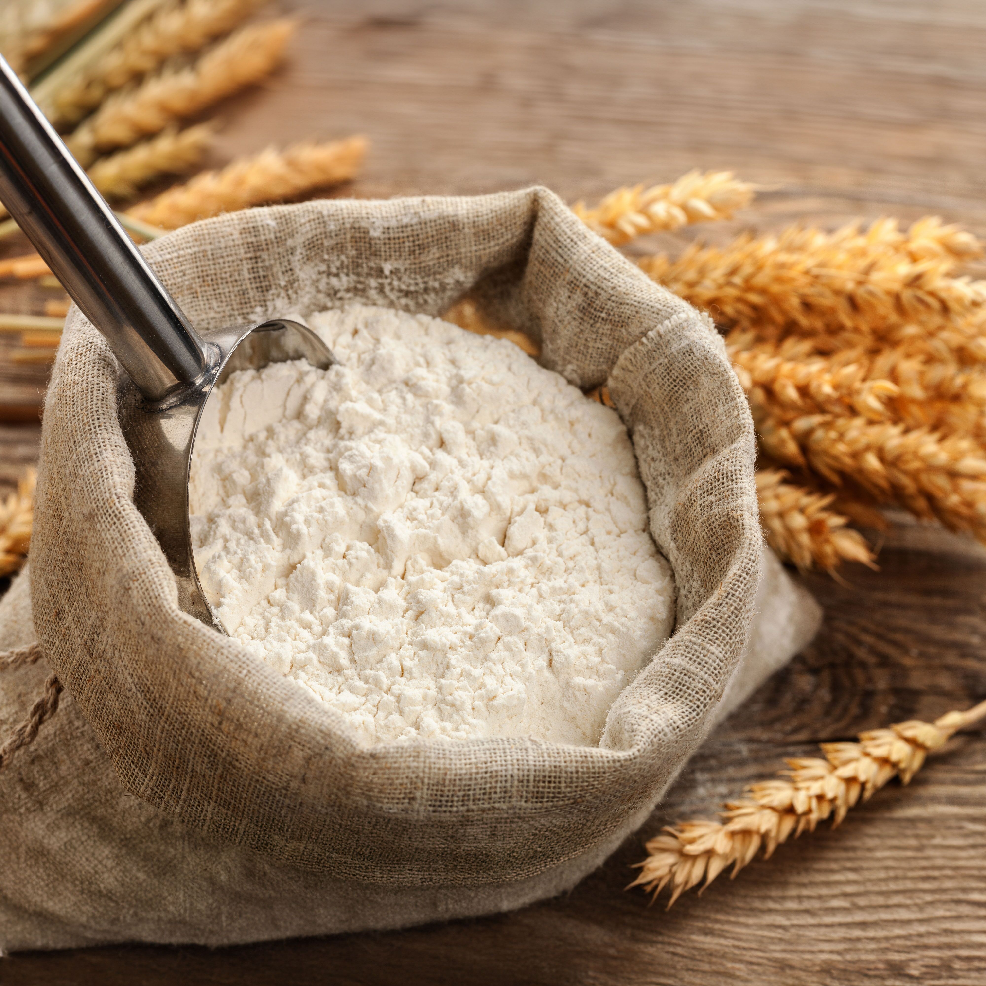Commercial Flour Sieve Machine - 1kW - Capacity: 50kg/batch