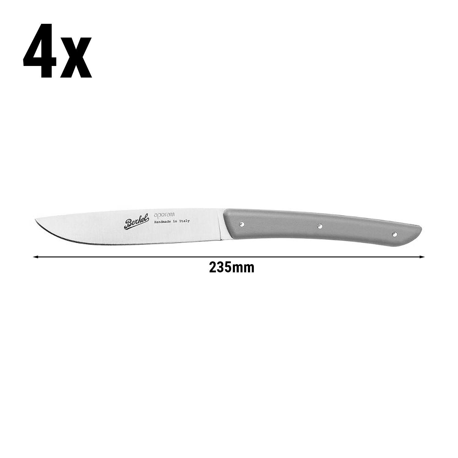 (4 pièces) BERKEL | Couteaux à steak - Gris - Lame : 110 mm        