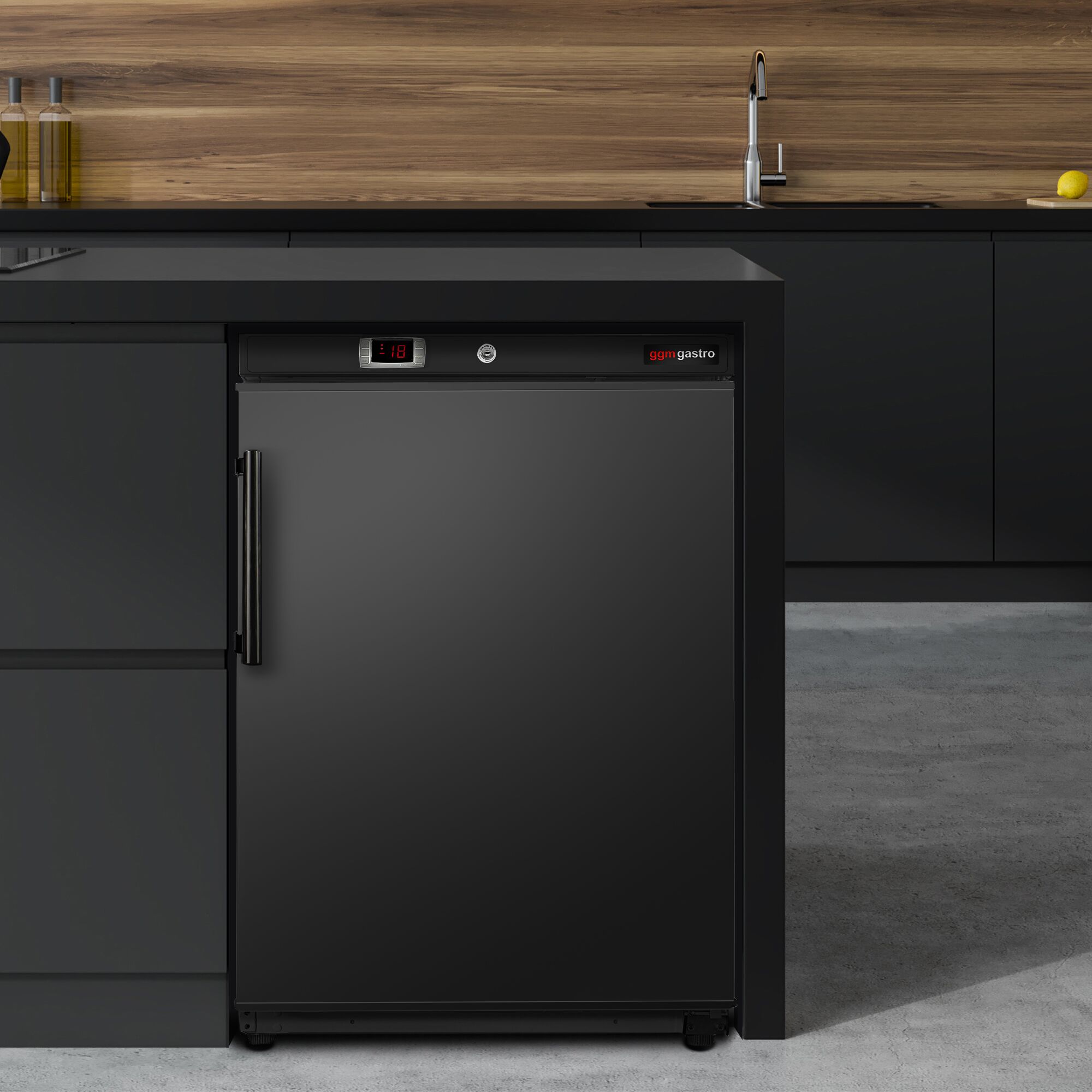 Mini congélateur de stockage ECO – 200 litres – avec 1 porte – intérieur de la porte en plastique – Noir