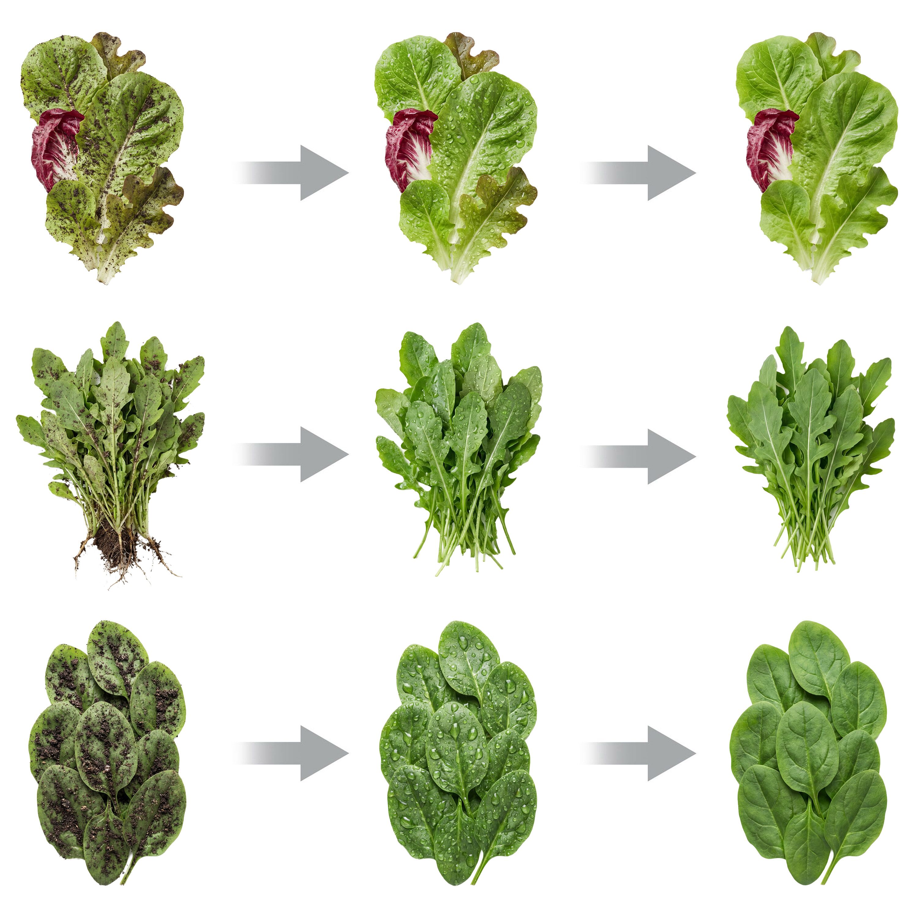Essoreuse à Salade / Légumes - Plastique (PP/PC) - 20 L - Rouge