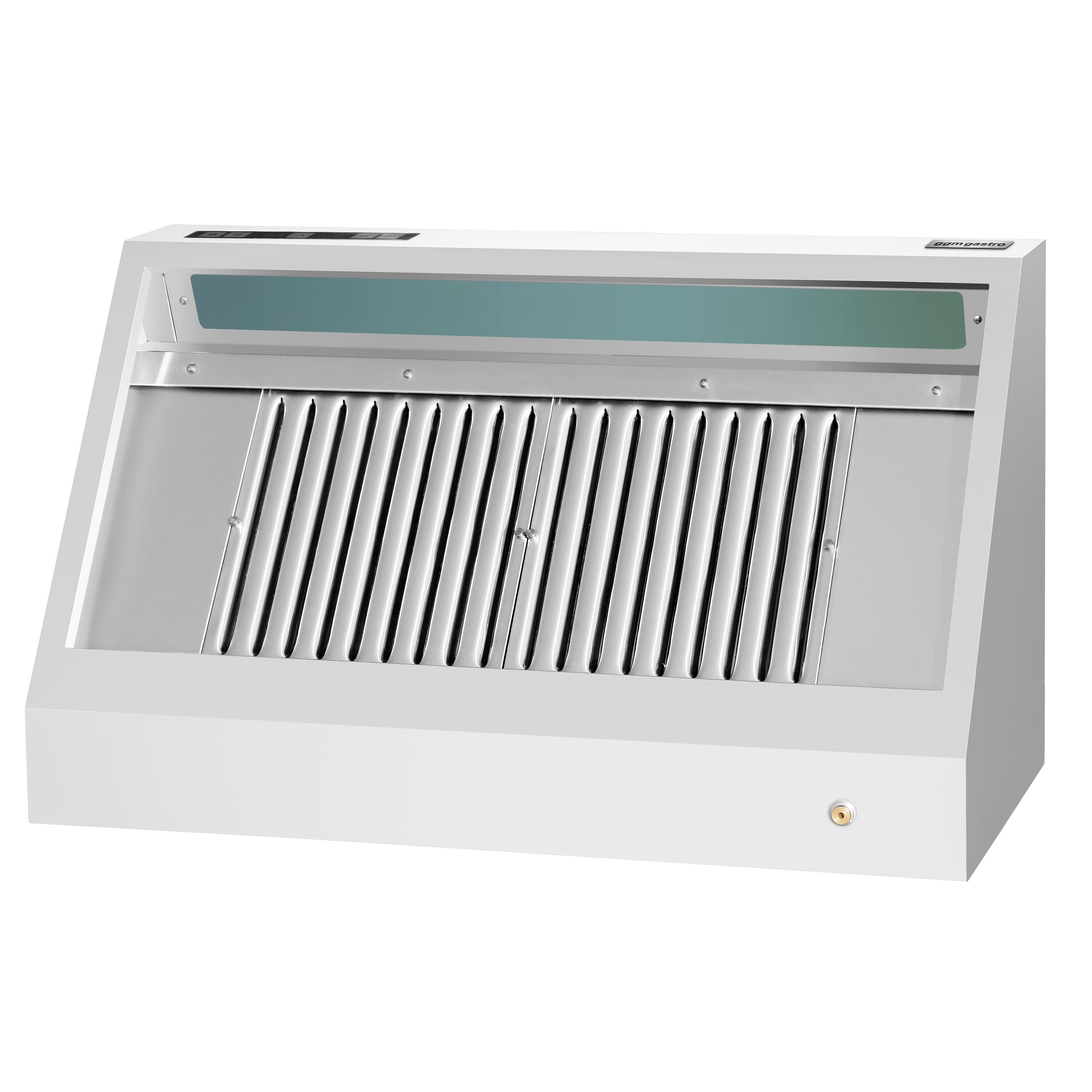 Hotte murale avec moteur – 1200 mm – régulateur, filtre et lampe