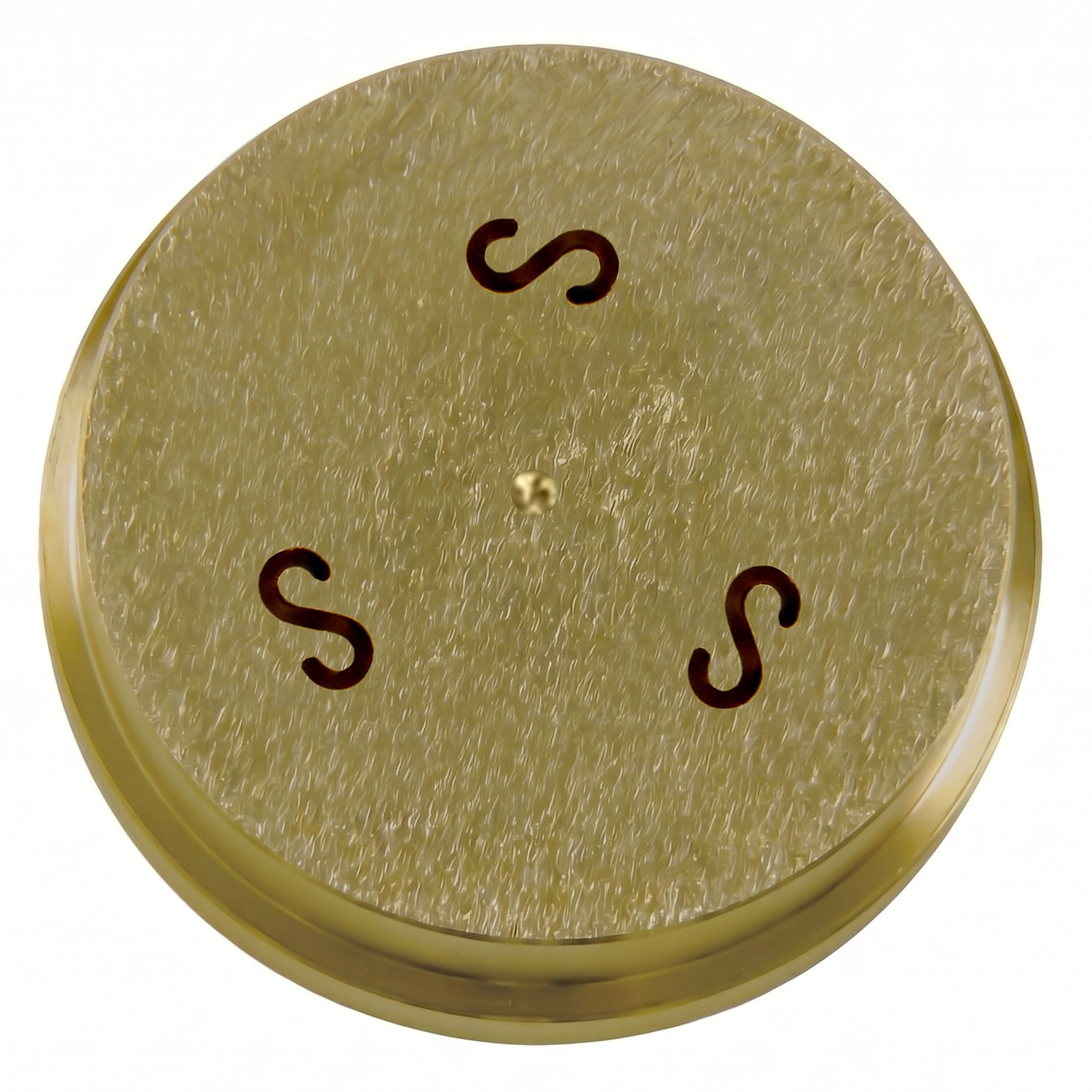 Pasta Die - Caserecce - 9x5mm - Ø 50mm - compatible with NMF5N
