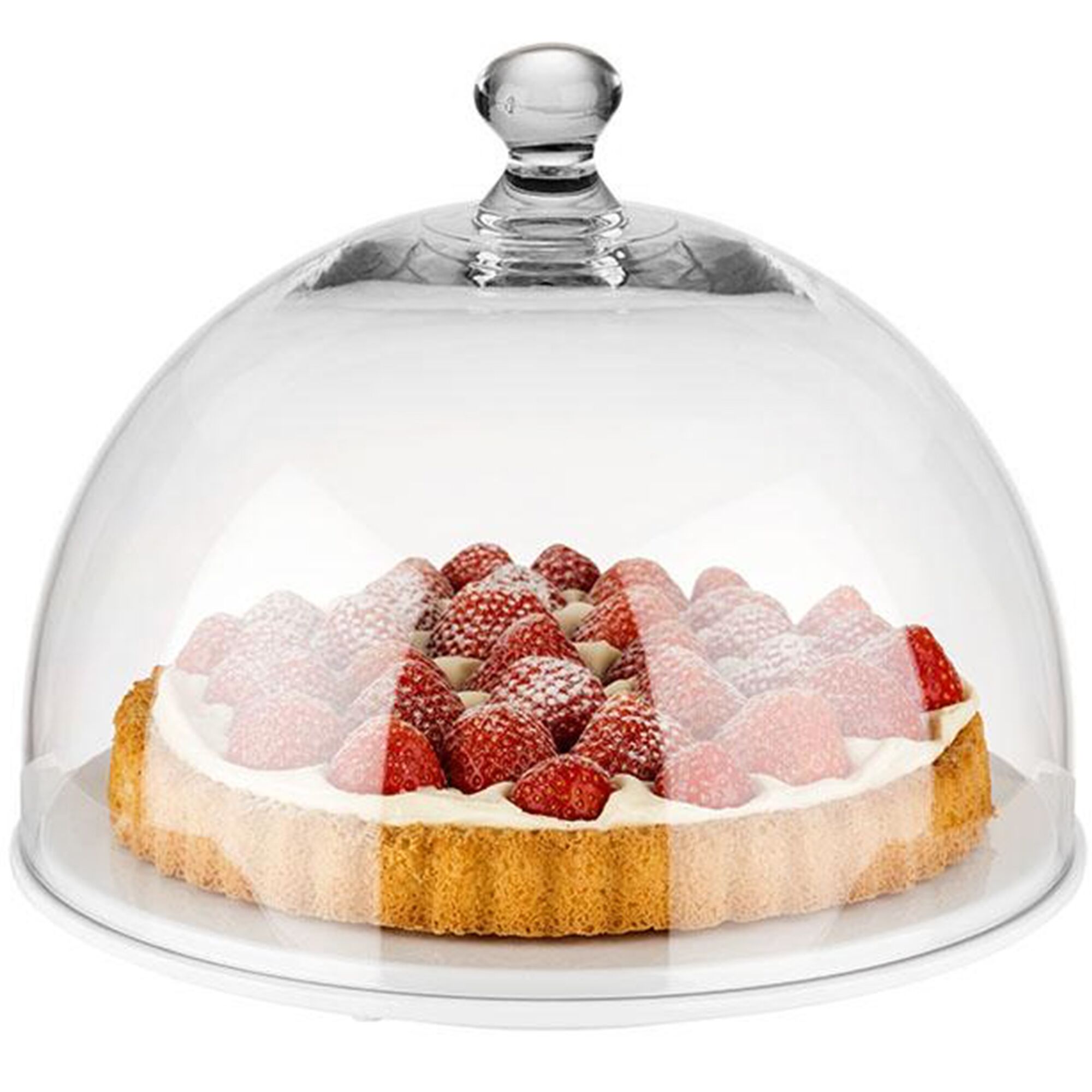 Cloche de conservation - DÔME - Polycarbonate - Ø 300 mm - Hauteur : 220 mm - ronde