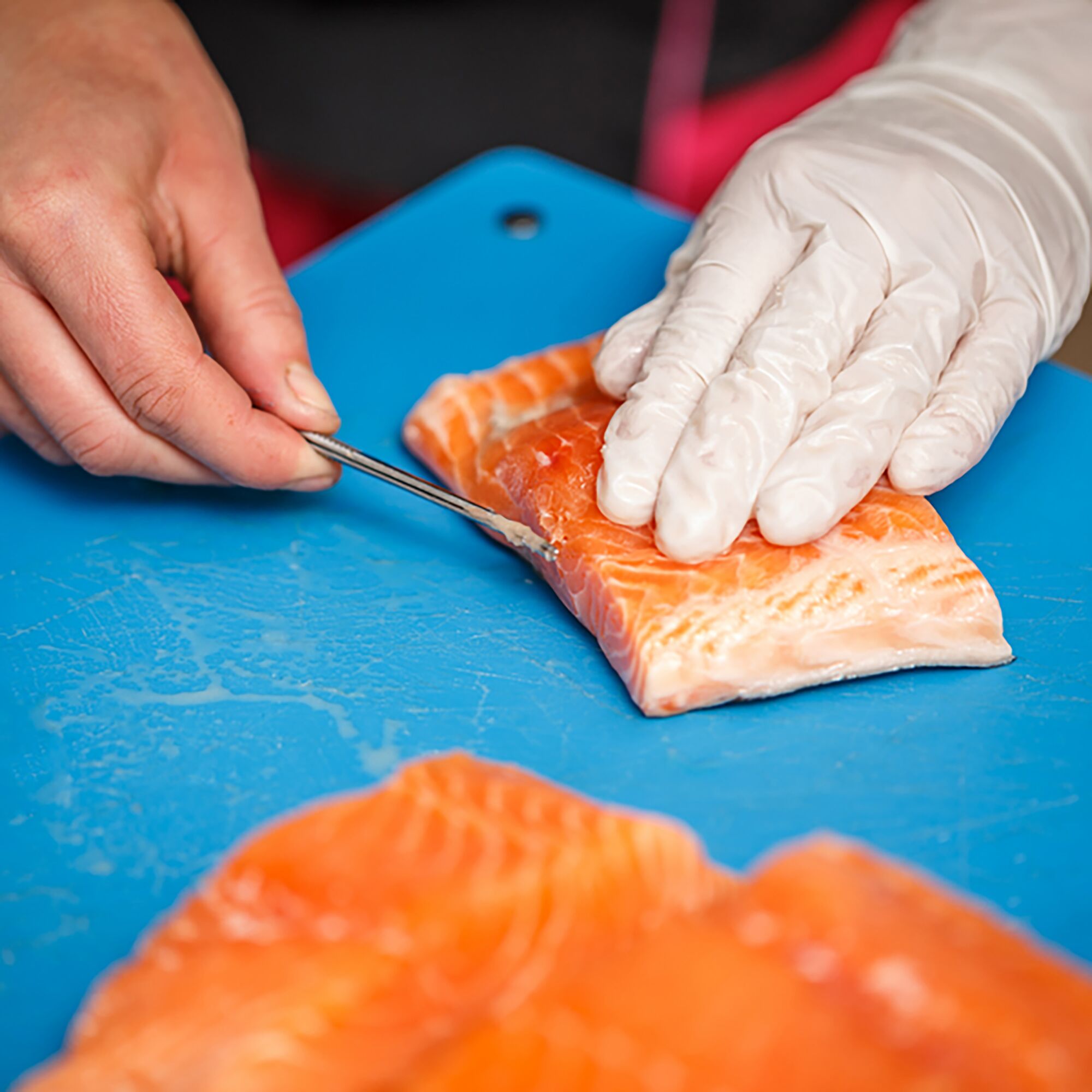 Pinces à poisson – Longueur : 300mm