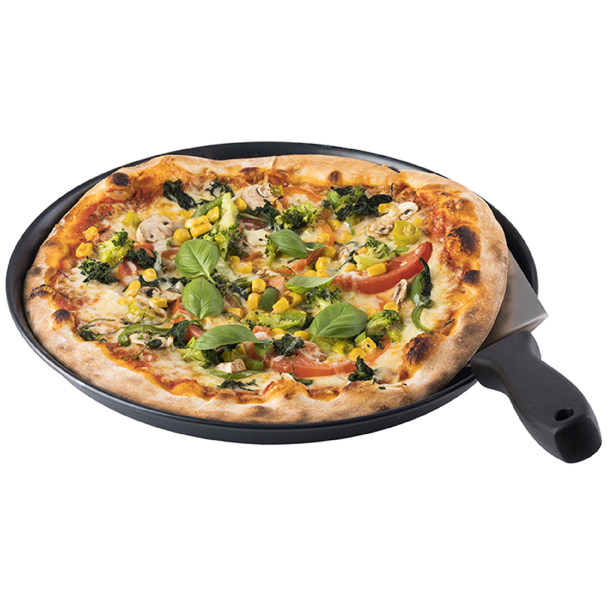 (6 pièces) Plaque à pizza - tôle bleue - Ø 260 mm - hauteur : 25 mm
