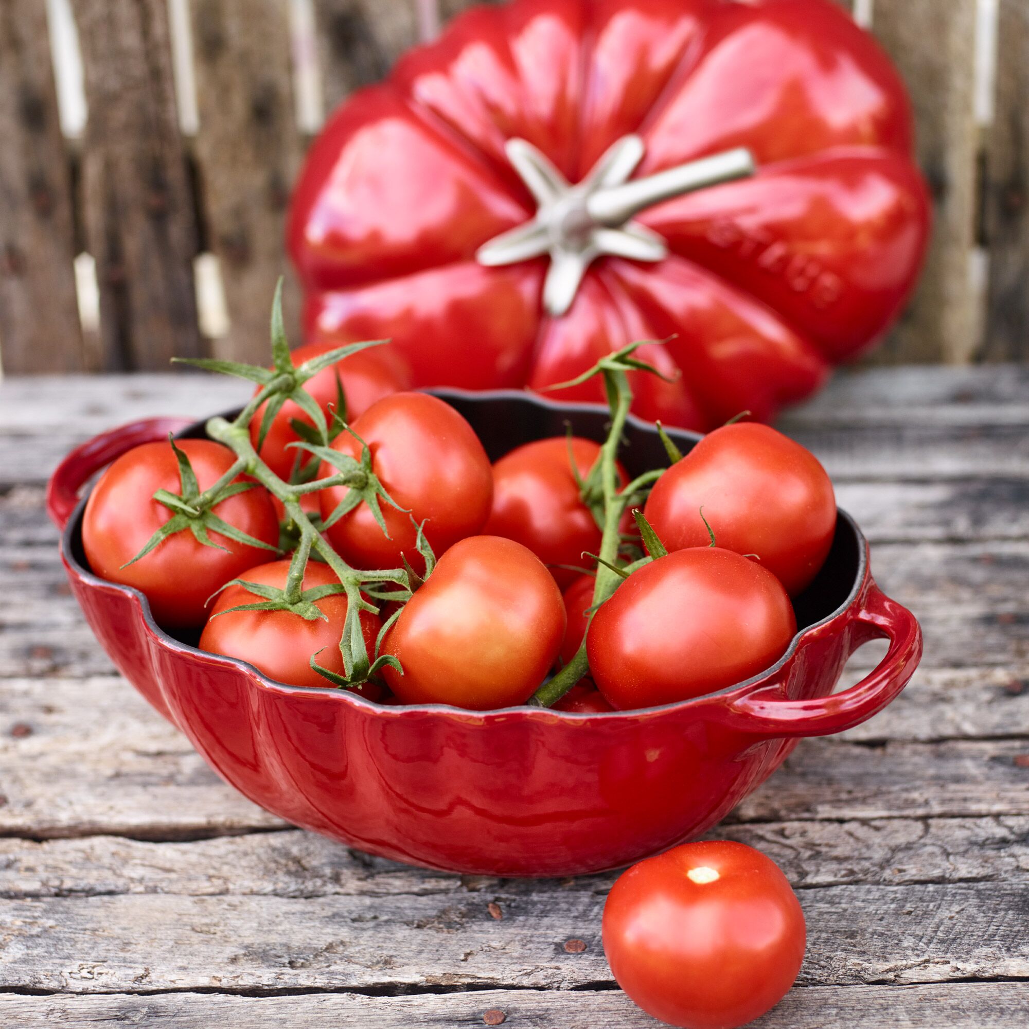 STAUB | LA COCOTTE - Cocotte - Tomatenform - 250mm - Gusseisen - Kirsch-Rot