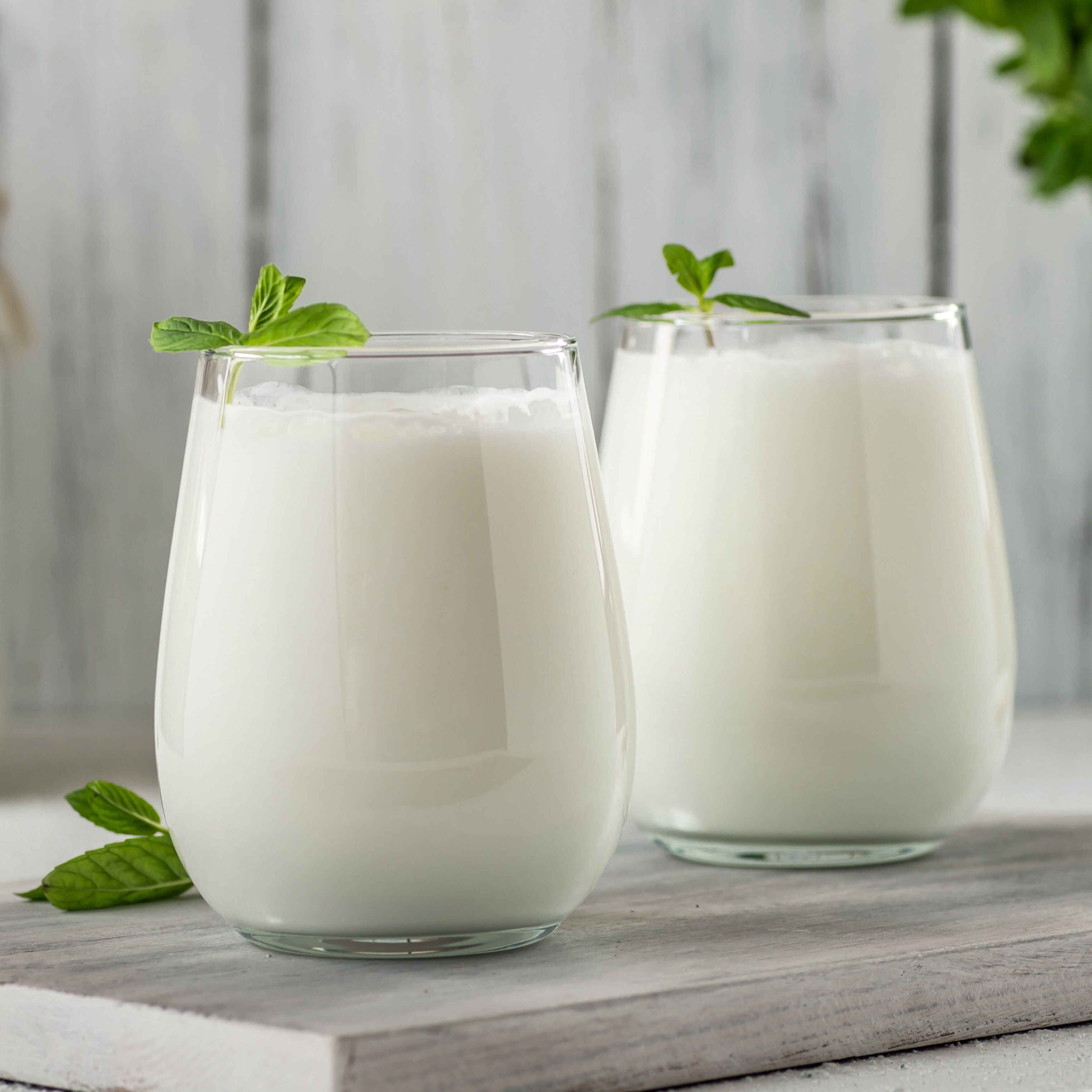 Distributeur d’ayran - 22 L - 500W - pour ayran moussant - Blanc