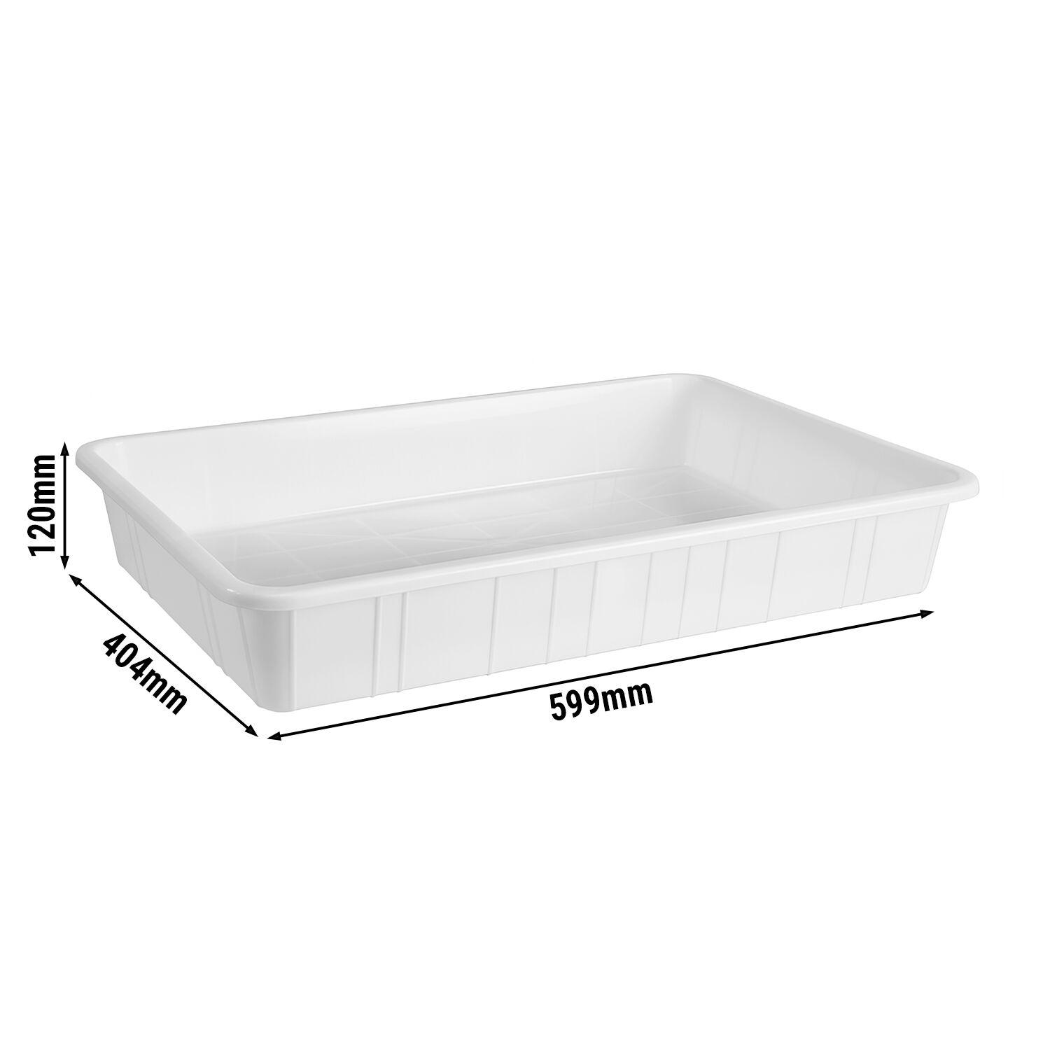 Bac pour poissons - en polycarbonate (PC) - 600x400mm - haute résistance