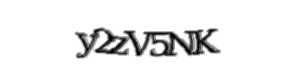 Security check image, please type the characters shown