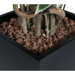 Ficus artificial "Ficus Starlight" - 210cm - com vaso - para interior