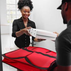 (5 pieces) Pizza bag / insulated pizza bag - for 5 pizza boxes 43 x 43 cm - red