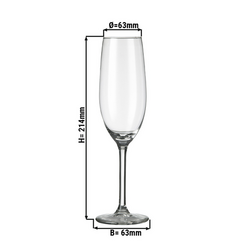 (12 st) Champagneglas - VENEDIG - 210 ml - Transparent