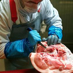 F. DICK | ErgoGrip – Stickkniv – blad: 150 mm