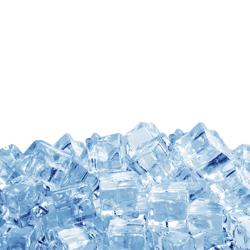 Commercial stainless steel ice bucket - Ø 140 mm - with handles