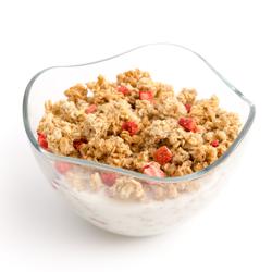 Dispensador de cereales Profesional - dosificador giratorio - 1 contenedor de plástico - 3,7L - Soporte de acero inoxidable