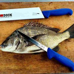 F. DICK | ErgoGrip Boning Knife – 150 mm blade - Flexible - X50CrMoV15 - Blue handle - NSF