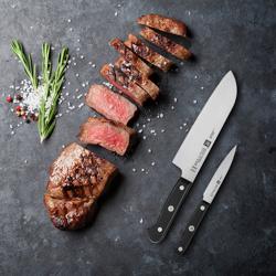 ZWILLING | GOURMET - Messenset - 2 stuks