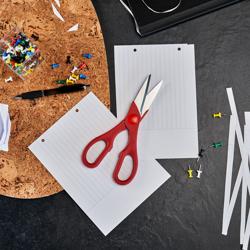 ZWILLING | Monikäyttösakset - 200mm	