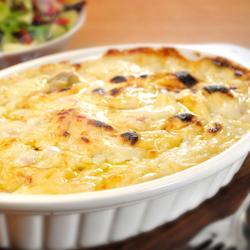 Salamandră profesională - 0,8 m