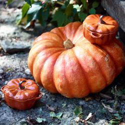 STAUB| Ceramic Pumpkin Cocotte – Cinnamon - Ø 150 mm