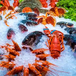 Ankastre Buz Havuzu - 1135mm - 3x GN 1/1 - 130L - Cam Siperlikli