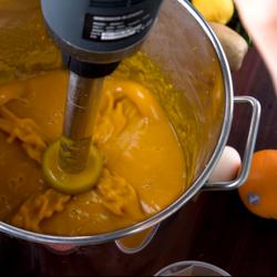 Mixeur plongeant avec pied mixeur 300mm & fouet - 450 watts - vitesse réglable en continu