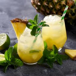 Aparato de bar combinado: licuadora, picadora de hielo, batidora y exprimidor - Vaso mezclador