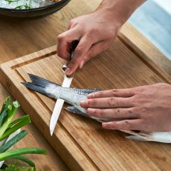 ZWILLING | VIER STERNE - Couteau à fileterer - Lame: 180 mm