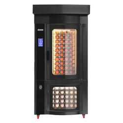 Roterende heteluchtoven op gas voor bakkerij - Touch - 10x EN 60x40 - met rijskast & wassysteem