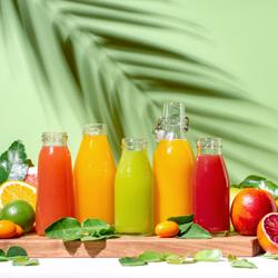 Espremedor de sumo de fruta - Manual