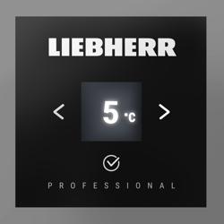 LIEBHERR | Kühlschrank PERFORMANCE - 347 Liter - Innen Kunststoff - mit 1 Tür - Grau