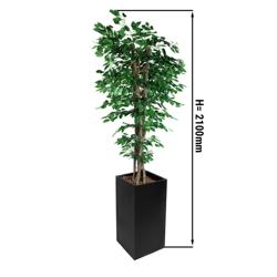 Ficus artificial "Ficus" - 210cm - com vaso